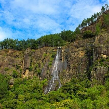 bambarakanda- waterfall